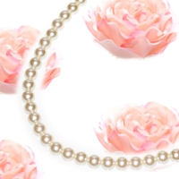 アクセサリーショップPIENA（アクセサリーショップピエナ）のアクセサリー/ネックレス