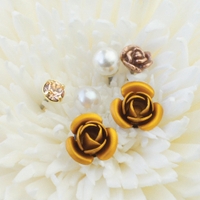 アクセサリーショップPIENA（アクセサリーショップピエナ）のアクセサリー/ピアス