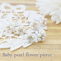 アクセサリーショップPIENA（アクセサリーショップピエナ）のアクセサリー/ピアス