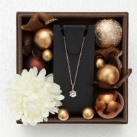 アクセサリーショップPIENA（アクセサリーショップピエナ）のアクセサリー/ネックレス