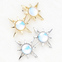 アクセサリーショップPIENA（アクセサリーショップピエナ）のアクセサリー/ピアス