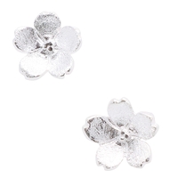 アクセサリーショップPIENA（アクセサリーショップピエナ）のアクセサリー/ピアス