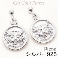アクセサリーショップPIENA（アクセサリーショップピエナ）のアクセサリー/ピアス