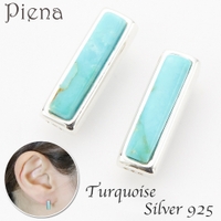 アクセサリーショップPIENA（アクセサリーショップピエナ）のアクセサリー/ピアス