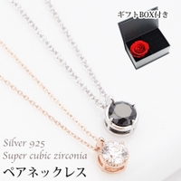 アクセサリーショップPIENA（アクセサリーショップピエナ）のアクセサリー/ネックレス