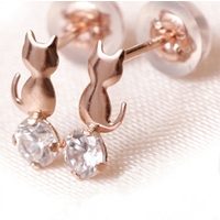アクセサリーショップPIENA（アクセサリーショップピエナ）のアクセサリー/ピアス