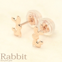 アクセサリーショップPIENA（アクセサリーショップピエナ）のアクセサリー/ピアス