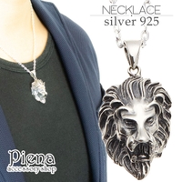 アクセサリーショップPIENA（アクセサリーショップピエナ）のアクセサリー/ネックレス