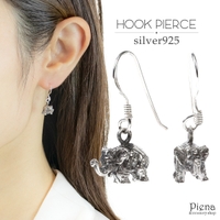アクセサリーショップPIENA（アクセサリーショップピエナ）のアクセサリー/ピアス