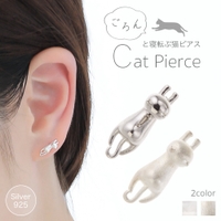 アクセサリーショップPIENA（アクセサリーショップピエナ）のアクセサリー/ピアス