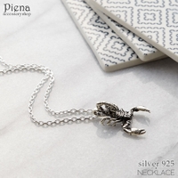 アクセサリーショップPIENA（アクセサリーショップピエナ）のアクセサリー/ネックレス