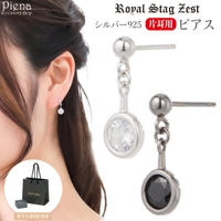アクセサリーショップPIENA（アクセサリーショップピエナ）のアクセサリー/ピアス