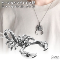 アクセサリーショップPIENA（アクセサリーショップピエナ）のアクセサリー/ネックレス