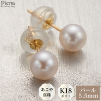 アクセサリーショップPIENA（アクセサリーショップピエナ）のアクセサリー/ピアス