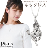 アクセサリーショップPIENA（アクセサリーショップピエナ）のアクセサリー/ネックレス