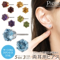 アクセサリーショップPIENA（アクセサリーショップピエナ）のアクセサリー/ピアス