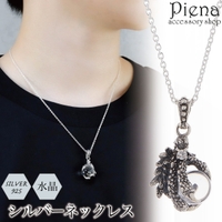 アクセサリーショップPIENA（アクセサリーショップピエナ）のアクセサリー/ネックレス