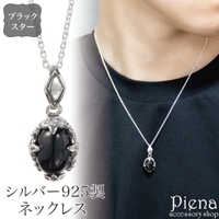 アクセサリーショップPIENA（アクセサリーショップピエナ）のアクセサリー/ネックレス
