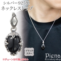 アクセサリーショップPIENA（アクセサリーショップピエナ）のアクセサリー/アクセサリーパーツ
