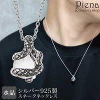アクセサリーショップPIENA（アクセサリーショップピエナ）のアクセサリー/ネックレス