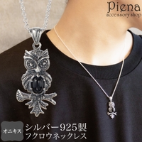 アクセサリーショップPIENA（アクセサリーショップピエナ）のアクセサリー/ネックレス
