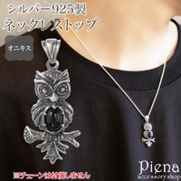 アクセサリーショップPIENA（アクセサリーショップピエナ）のアクセサリー/ネックレス