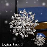 PlusNao（プラスナオ）のアクセサリー/ブローチ・コサージュ