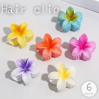 PlusNao（プラスナオ）のヘアアクセサリー/ヘアクリップ・バレッタ