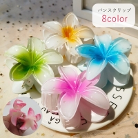 PlusNao（プラスナオ）のヘアアクセサリー/ヘアクリップ・バレッタ