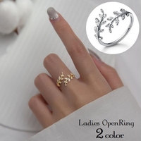 PlusNao(プラスナオ)のアクセサリー/リング・指輪