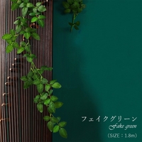 PlusNao | FQ000195627