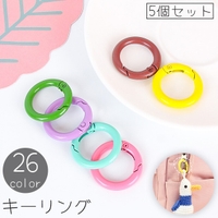 PlusNao（プラスナオ）の小物/キーケース・キーホルダー