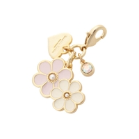 Samantha Thavasa Petit Choice | STJW0014864