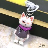 SneepDip | ASHW0001831