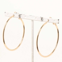 SPIGA（スピーガ）のアクセサリー/ピアス