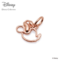 THE KISS （ザ・キッス ）のアクセサリー/アクセサリーパーツ