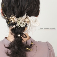 kana | BECW0010386