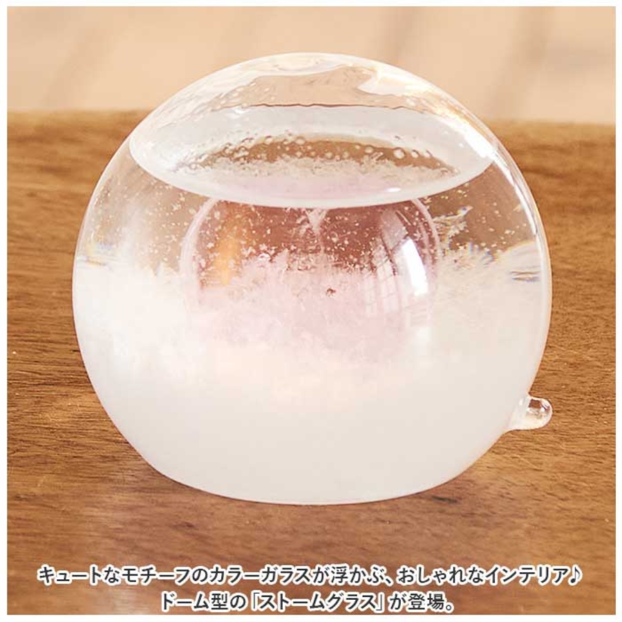 ストームグラス ドーム[品番：BCYW0022799]｜BACKYARD FAMILY