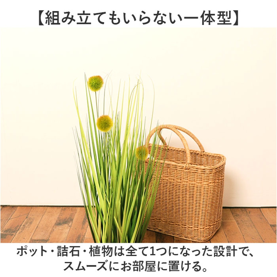 ポンポングラスポットS[品番：BCYW0029183]｜BACKYARD FAMILY