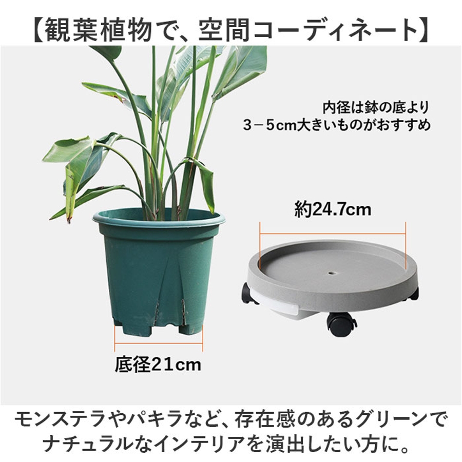 プランタースタンド[品番：BCYW0030798]｜BACKYARD FAMILY