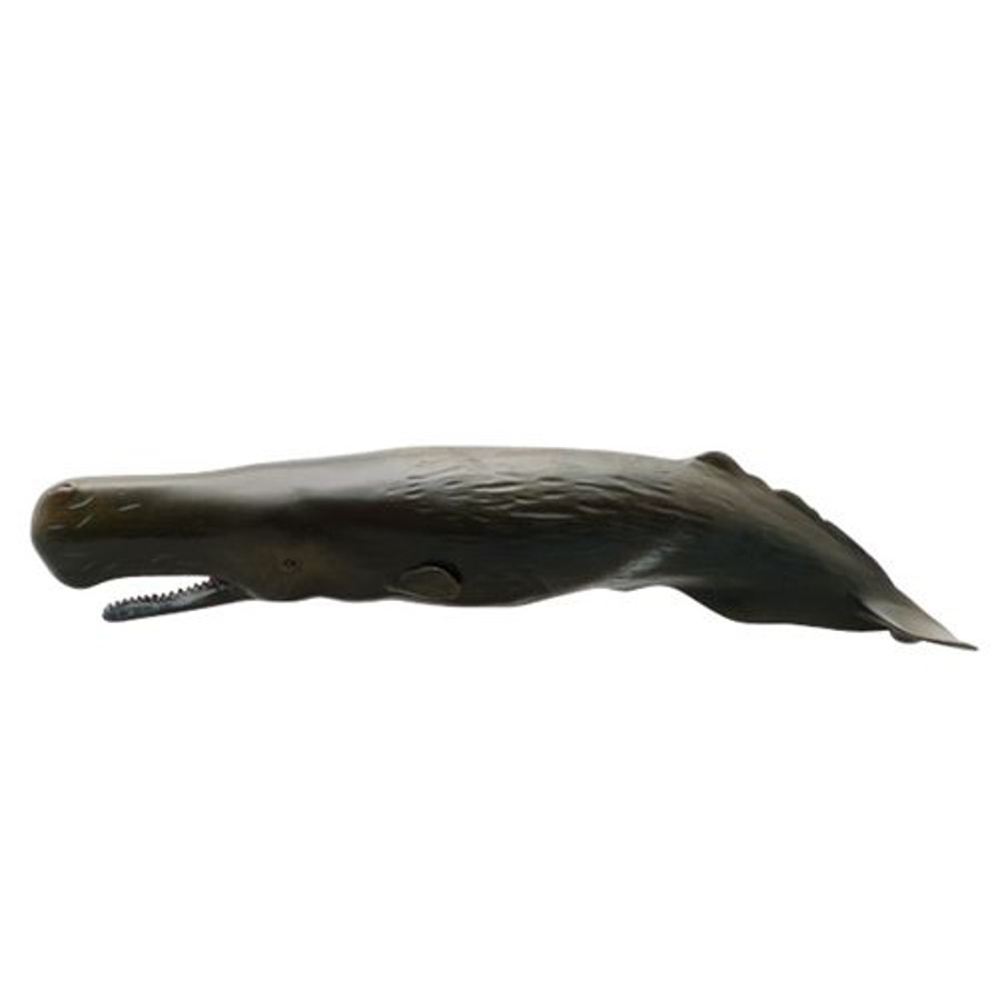 マッコウクジラ ソフトモデルフィギュア 海洋生物[品番：BREW0015294