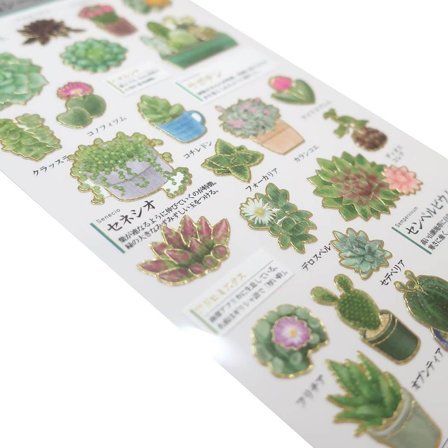大人の図鑑シール シールシート 多肉植物[品番：BREW0031535 