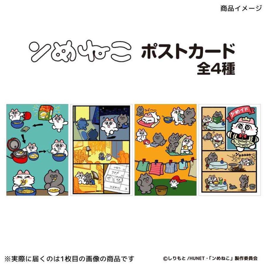 ンめねこ POSTCARD ポストカード[品番：BREW0187798