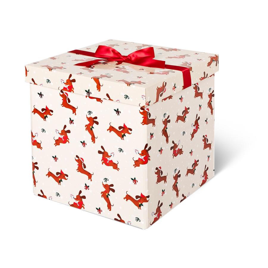 ギフトボックス[品番：ZBRH0012609]｜Flying Tiger Copenhagen