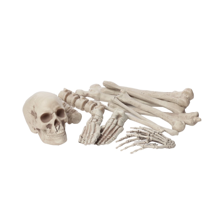cWHA.jpg