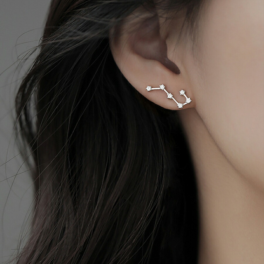 スターデザインピアス シルバー 北斗七星[品番：XL000002713