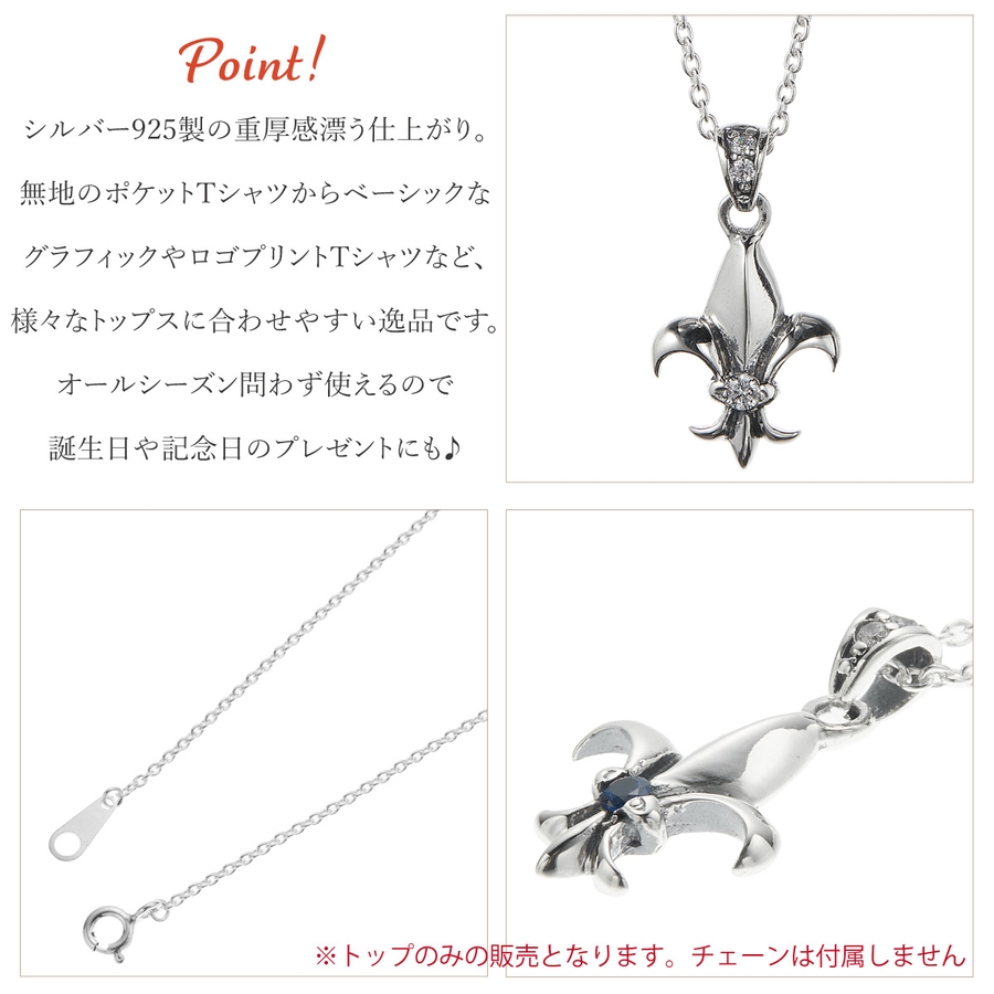 ペンダントトップ ネックレストップのみ メンズ[品番：PENA0037253