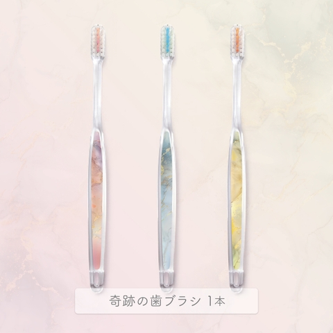 奇跡の歯ブラシ | NISH0007065