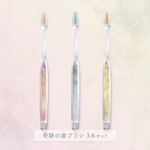 奇跡の歯ブラシ | NISH0000014