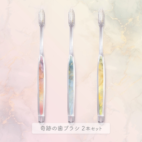 奇跡の歯ブラシ | NISH0007066